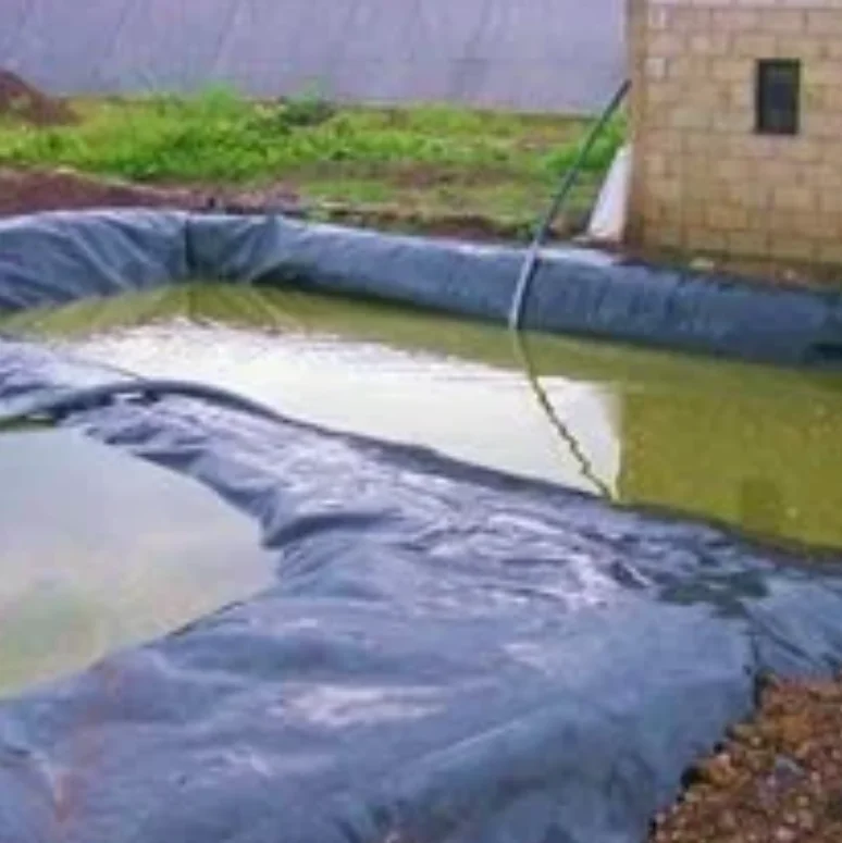 imperworld - piscina